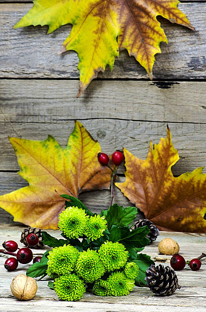istock Green gerber on a wooden table 526351495
