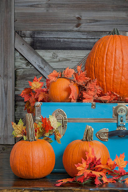 a group of pumpkins on a porch