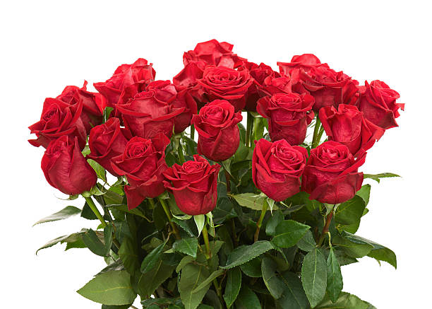 istock Colorful Flower Bouquet from Red Roses Isolated on White Backgro 526353687