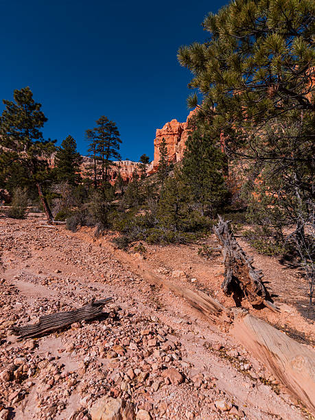 istock Bryce Canyon National Park (Utah, United States). The Bryce Amphiteater 526354213