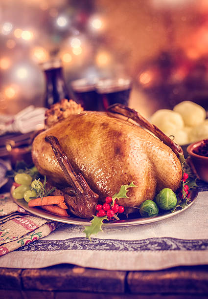 istock Traditional German holiday Goose Dinner with Dumplings and Red Cabbage 526357235