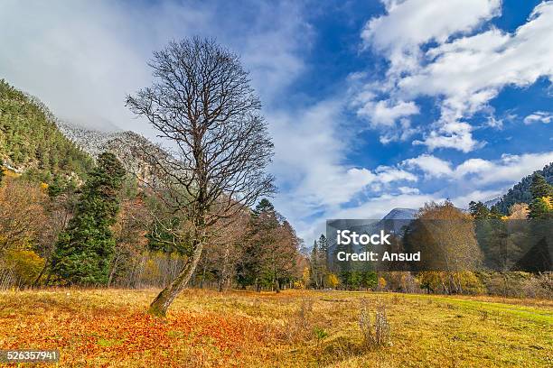 Autumn In Arkhyz Stock Photo - Download Image Now - Autumn, Autumn Leaf Color, Beauty