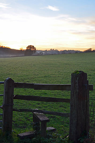 promenade en soirée dans la campagne anglaise. - ramble photos et images de collection