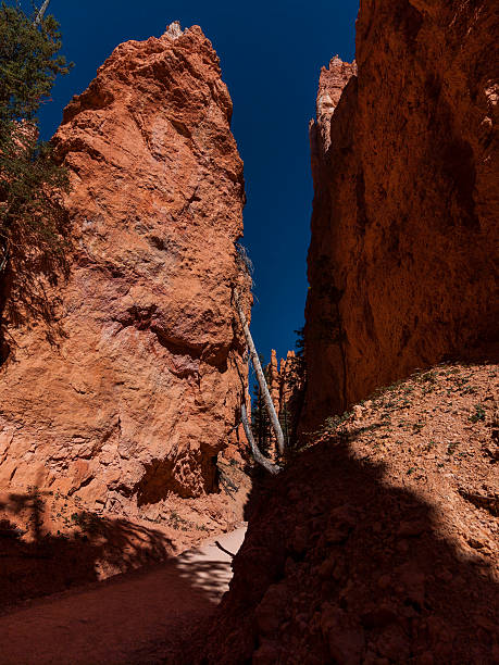 istock Bryce Canyon National Park (Utah, United States). The Bryce Amphiteater 526369545