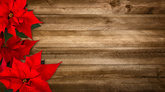Christmas background composed of wood planks and poinsettia, with warm colors and nice vignetting, wide format