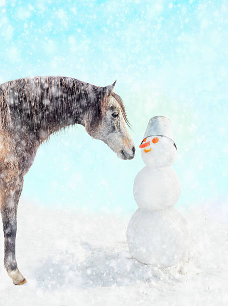 istock Horse and snowman in winter  snow 526373547