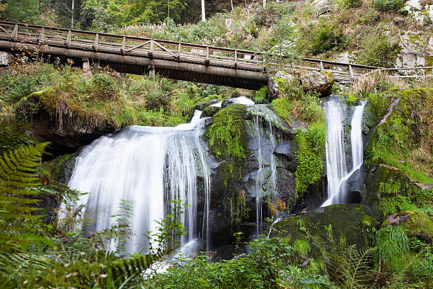 triberg cascades - triberg photos et images de collection