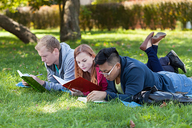 istock Young people studying in the park 526375015