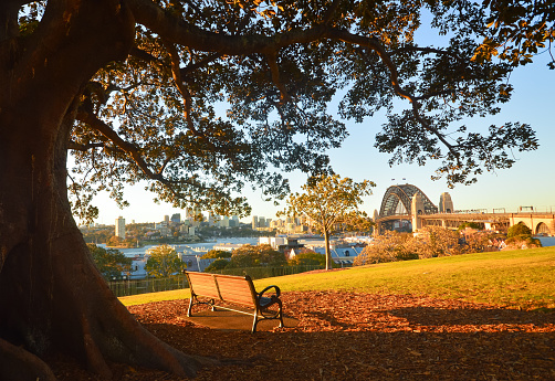 Romantic view of Sydney