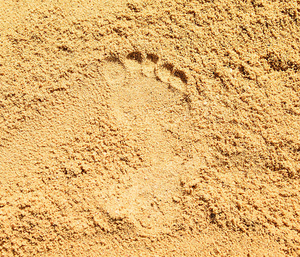 istock Single Human Footprint in the sand 526375135