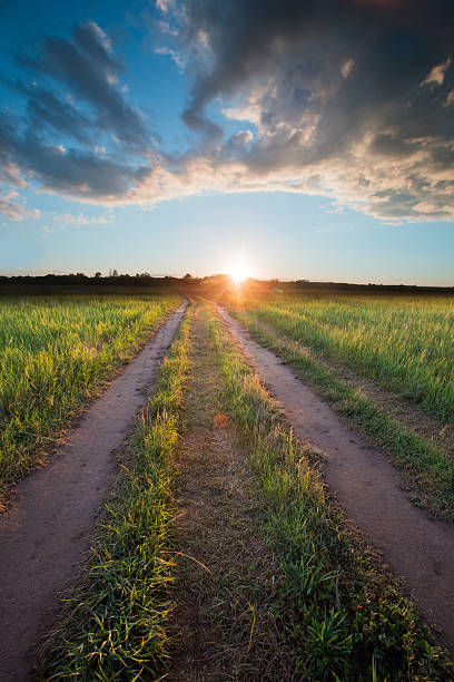 istock Road to the horizon 526388133