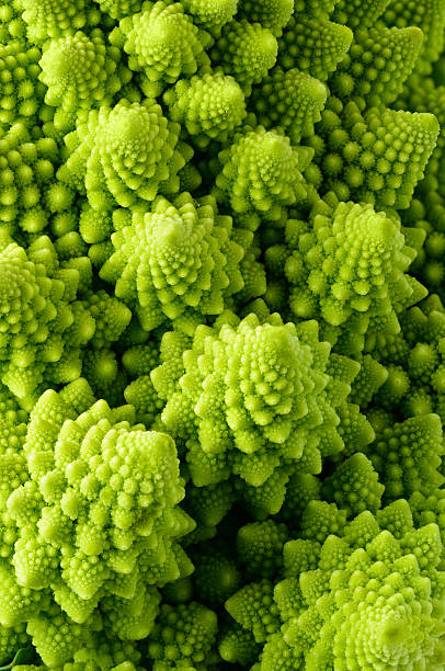 Green floral background Backgrounds and textures: abstract green natural background, Romanesco broccoli (Brassica oleracea), close-up shot fractal plant cabbage textured stock pictures, royalty-free photos & images