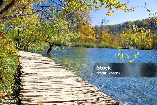 Walkway In Paradise Of Plitvice Lakes Stock Photo - Download Image Now - Aerial View, Arranging, Autumn