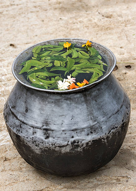Faith-based medicine. Medicinal water, blessed by the guru, with Neem-tree leaves, is used to wash people afflicted with chicken pox. Water stands in gray-black metal pot. Green covers the water together with a few yellow and white flowers.