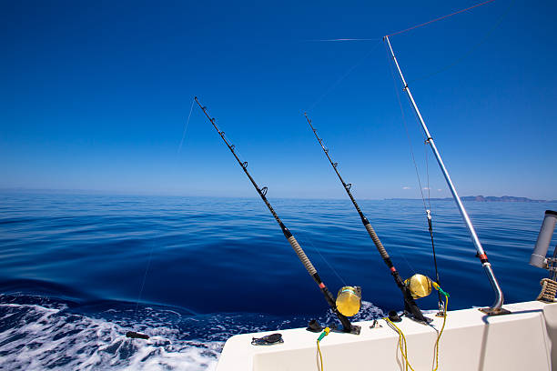 Ibiza Fishing Boat Trolling Rods And Reels In Blue Sea Stock Photo -  Download Image Now - iStock