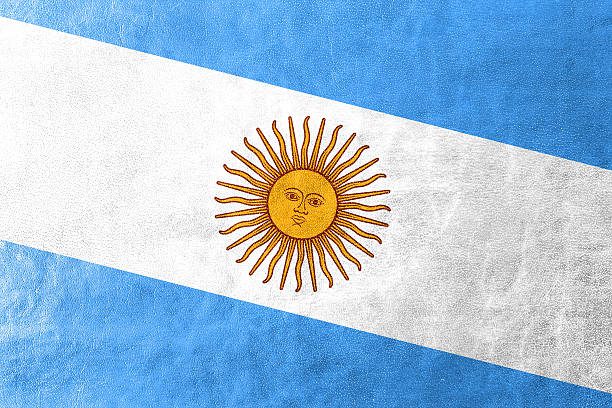 Argentina Bandeira pintada com textura de couro - fotografia de stock