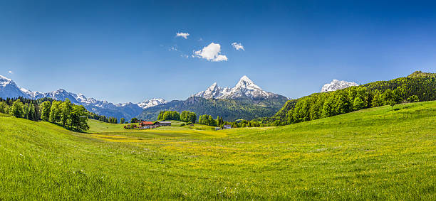 istock Idyllic summer landscape in the Alps 526421483