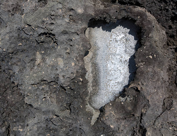 istock Salt texture in a black Mediterranean beach rock 526422187