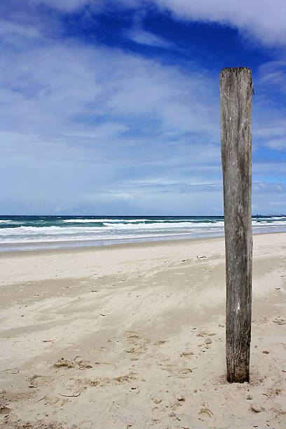 istock log of solitude on the beach 526422733