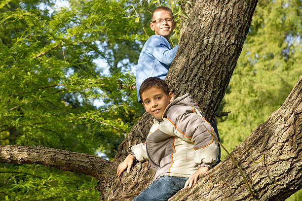 Father assist his young son in walking over twisting tree roots in a park, making memories and enjoying the great outdoors together.