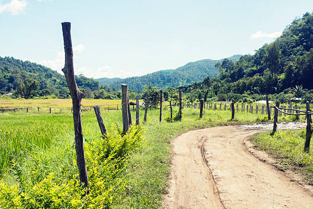 istock Dirt Road in Chiang Mai Thailand Mountains 526423575