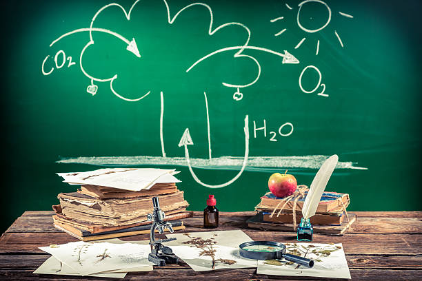 istock Photosynthesis biology lesson 526424257