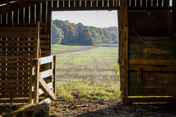 donnant une porte de grange - barn door photos et images de collection