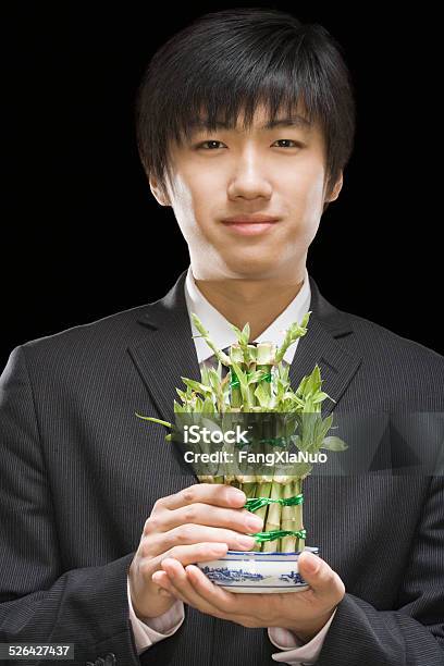 Businessman Holding Bamboo Plant Portrait Closeup Stock Photo - Download Image Now