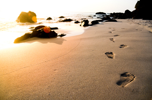 footprints along the coast