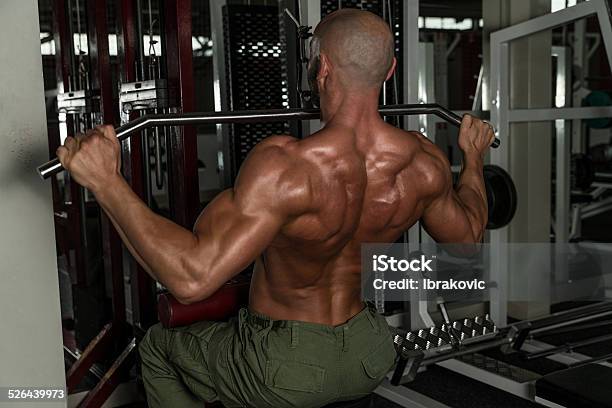 Bodybuilder Doing Heavy Weight Exercise For Back Stock Photo - Download Image Now - Active Lifestyle, Adult, Anaerobic Exercise