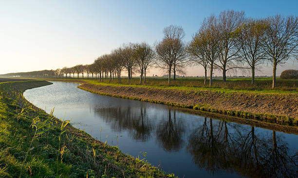 istock Trees along a canal at sunset in autumn 526442437