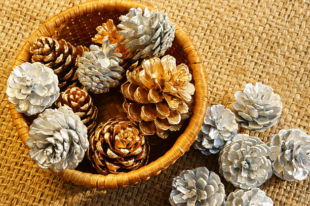 istock abstract pine cone, Xmas season 526443717