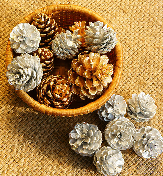 istock abstract pine cone, Xmas season 526443731