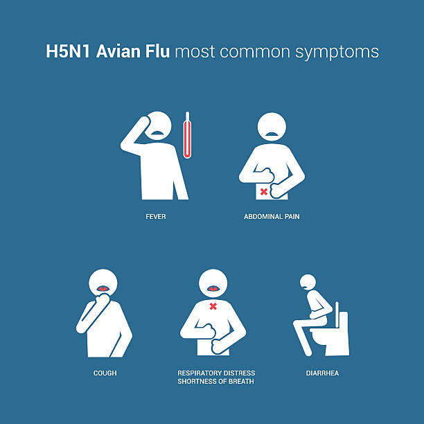 h5n1 조류 독감 증상 - avian flu virus stock illustrations