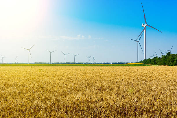 istock Wheat field and eco power, wind turbines 526445683