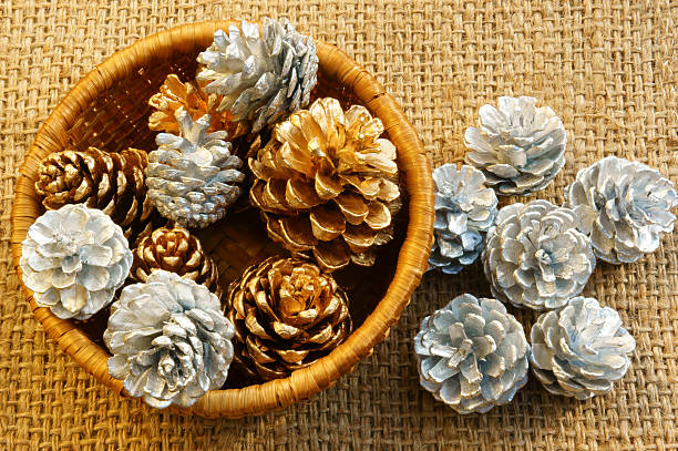 istock abstract pine cone, Xmas season 526446425
