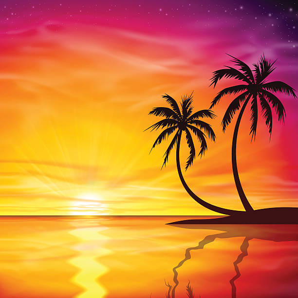 Sunset, Sunrise with Palm Trees vector art illustration