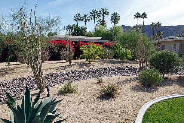 grande jardim frontal xeriscaped para conservação de água - desert landscaping - fotografias e filmes do acervo