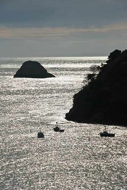 trinidad de silhouette - humboldt county california coastline island fotografías e imágenes de stock