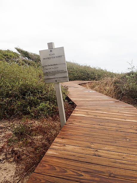 Boardwalk through Dunes at Kiawah, South Carolina Boardwalk through the dunes at Kiawah Island, South Carolina with a sign with environmental warnings. Image has copy space. kiawah island stock pictures, royalty-free photos & images