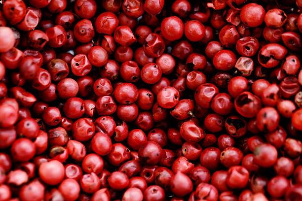 pimienta rosa - pimienta fotografías e imágenes de stock