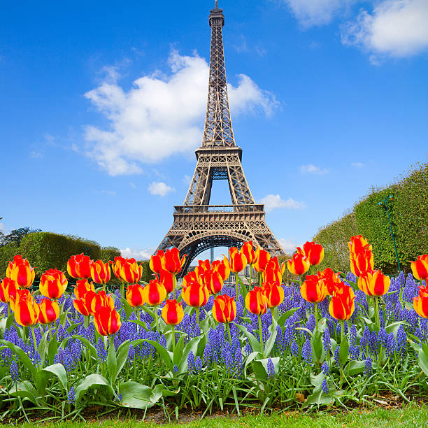 istock Eiffel Tower at spring, France 526496745
