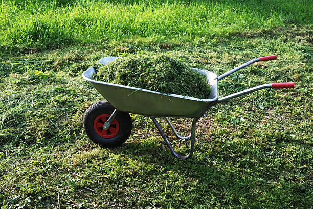 手押し車の芝生、若草 - cut grass ストックフォトと画像