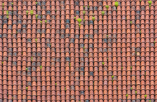 Homogeneous surface of red weathered roof tiles with light vegetation.