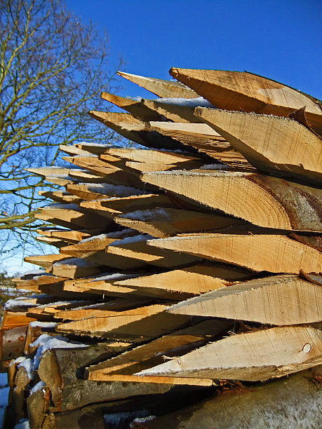 Timber pile stock photo