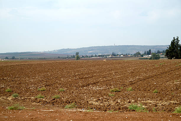 istock Agriculture in the Jezreel Valley 526505341