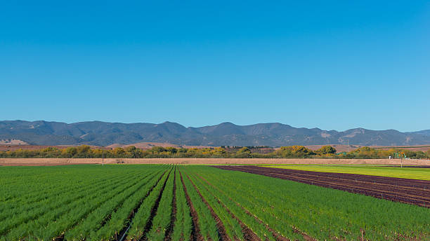 istock Farmland in California. 526508155