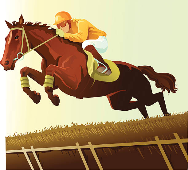 thoroughbred wyczyszczenie płotek w wyścig konny - steeplechasing stock illustrations