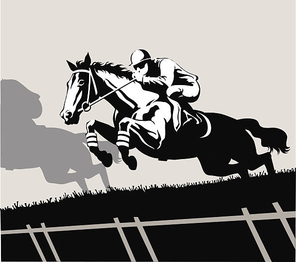 illustrations, cliparts, dessins animés et icônes de thoroughbred élimine la haie - hurdling hurdle vector silhouette