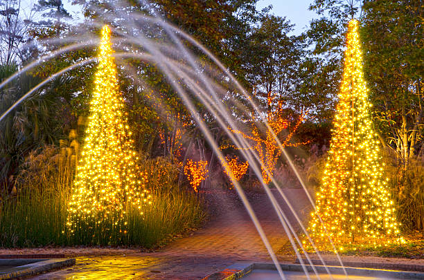 istock Outdoor Christmas Trees 526510141